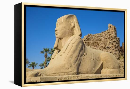 Avenue of Sphinxes, Luxor Temple, UNESCO World Heritage Site, Luxor, Egypt, North Africa, Africa-Jane Sweeney-Framed Premier Image Canvas