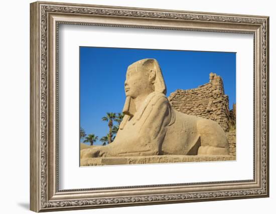 Avenue of Sphinxes, Luxor Temple, UNESCO World Heritage Site, Luxor, Egypt, North Africa, Africa-Jane Sweeney-Framed Photographic Print