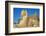 Avenue of Sphinxes, Luxor Temple, UNESCO World Heritage Site, Luxor, Egypt, North Africa, Africa-Jane Sweeney-Framed Photographic Print