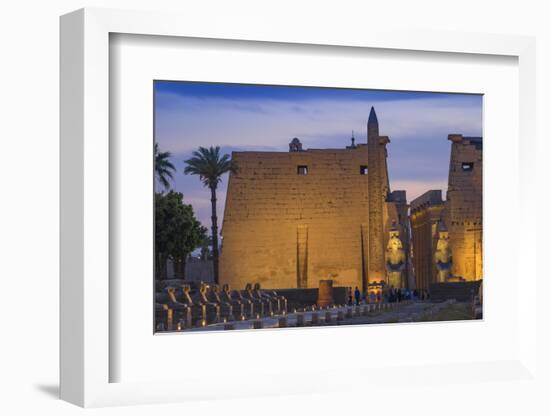 Avenue of Sphinxes, Luxor Temple, UNESCO World Heritage Site, Luxor, Egypt, North Africa, Africa-Jane Sweeney-Framed Photographic Print