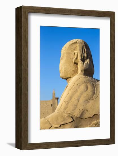 Avenue of Sphinxes, Luxor Temple, UNESCO World Heritage Site, Luxor, Egypt, North Africa, Africa-Jane Sweeney-Framed Photographic Print