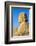 Avenue of Sphinxes, Luxor Temple, UNESCO World Heritage Site, Luxor, Egypt, North Africa, Africa-Jane Sweeney-Framed Photographic Print