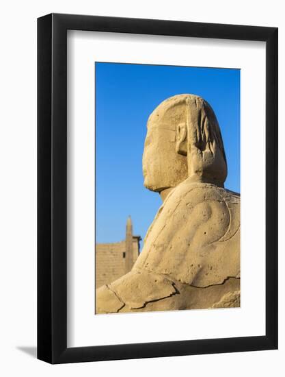 Avenue of Sphinxes, Luxor Temple, UNESCO World Heritage Site, Luxor, Egypt, North Africa, Africa-Jane Sweeney-Framed Photographic Print