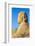 Avenue of Sphinxes, Luxor Temple, UNESCO World Heritage Site, Luxor, Egypt, North Africa, Africa-Jane Sweeney-Framed Photographic Print