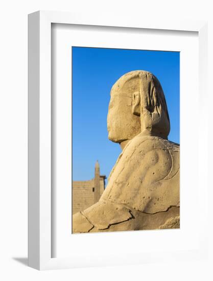 Avenue of Sphinxes, Luxor Temple, UNESCO World Heritage Site, Luxor, Egypt, North Africa, Africa-Jane Sweeney-Framed Photographic Print