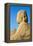 Avenue of Sphinxes, Luxor Temple, UNESCO World Heritage Site, Luxor, Egypt, North Africa, Africa-Jane Sweeney-Framed Premier Image Canvas