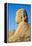 Avenue of Sphinxes, Luxor Temple, UNESCO World Heritage Site, Luxor, Egypt, North Africa, Africa-Jane Sweeney-Framed Premier Image Canvas