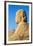 Avenue of Sphinxes, Luxor Temple, UNESCO World Heritage Site, Luxor, Egypt, North Africa, Africa-Jane Sweeney-Framed Photographic Print