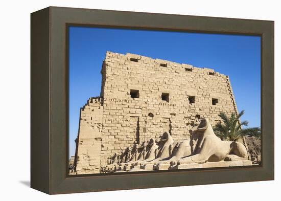 Avenue of Sphinxes, Luxor Temple, UNESCO World Heritage Site, Luxor, Egypt, North Africa, Africa-Jane Sweeney-Framed Premier Image Canvas