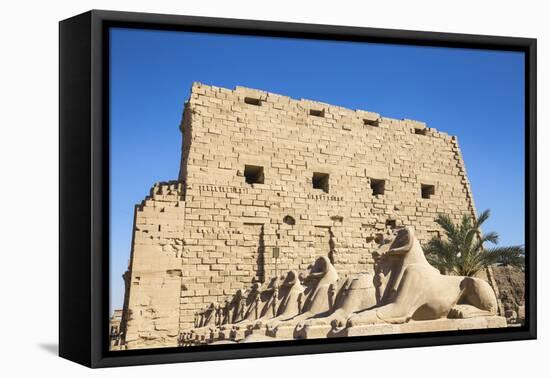 Avenue of Sphinxes, Luxor Temple, UNESCO World Heritage Site, Luxor, Egypt, North Africa, Africa-Jane Sweeney-Framed Premier Image Canvas