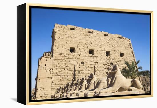 Avenue of Sphinxes, Luxor Temple, UNESCO World Heritage Site, Luxor, Egypt, North Africa, Africa-Jane Sweeney-Framed Premier Image Canvas