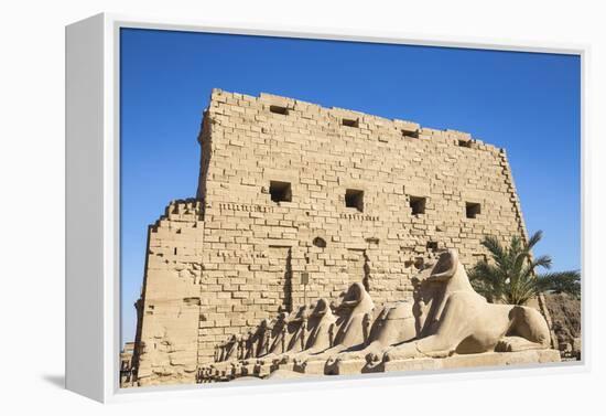 Avenue of Sphinxes, Luxor Temple, UNESCO World Heritage Site, Luxor, Egypt, North Africa, Africa-Jane Sweeney-Framed Premier Image Canvas