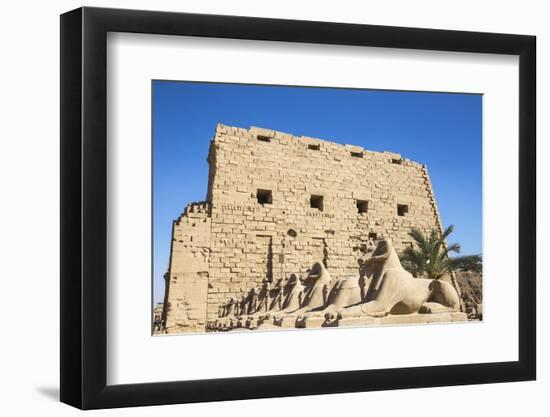 Avenue of Sphinxes, Luxor Temple, UNESCO World Heritage Site, Luxor, Egypt, North Africa, Africa-Jane Sweeney-Framed Photographic Print