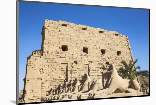 Avenue of Sphinxes, Luxor Temple, UNESCO World Heritage Site, Luxor, Egypt, North Africa, Africa-Jane Sweeney-Mounted Photographic Print