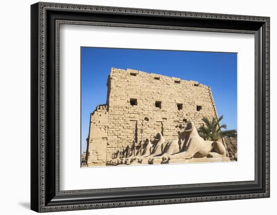 Avenue of Sphinxes, Luxor Temple, UNESCO World Heritage Site, Luxor, Egypt, North Africa, Africa-Jane Sweeney-Framed Photographic Print