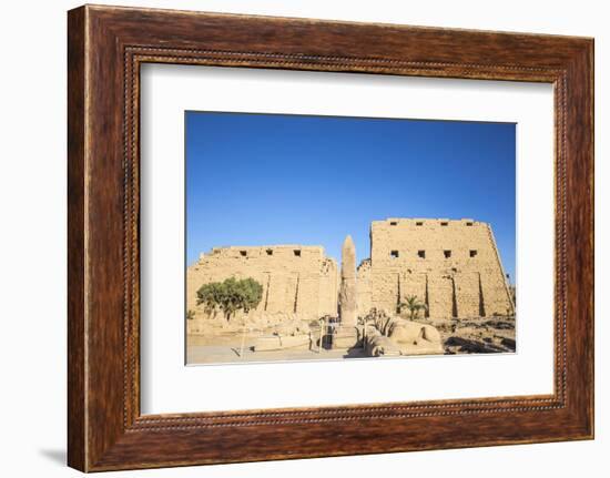 Avenue of Sphinxes, Luxor Temple, UNESCO World Heritage Site, Luxor, Egypt, North Africa, Africa-Jane Sweeney-Framed Photographic Print