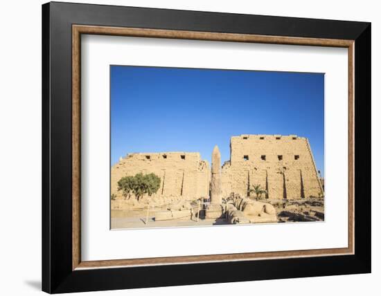 Avenue of Sphinxes, Luxor Temple, UNESCO World Heritage Site, Luxor, Egypt, North Africa, Africa-Jane Sweeney-Framed Photographic Print