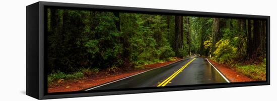 Avenue of the Giants passing through a redwood forest, Humboldt Redwoods State Park, California...-null-Framed Premier Image Canvas
