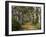 Avenue of Trees, West Cape Howe Np, Albany, Western Australia-Peter Adams-Framed Photographic Print