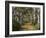 Avenue of Trees, West Cape Howe Np, Albany, Western Australia-Peter Adams-Framed Photographic Print