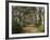 Avenue of Trees, West Cape Howe Np, Albany, Western Australia-Peter Adams-Framed Photographic Print