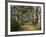 Avenue of Trees, West Cape Howe Np, Albany, Western Australia-Peter Adams-Framed Photographic Print