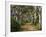 Avenue of Trees, West Cape Howe Np, Albany, Western Australia-Peter Adams-Framed Photographic Print