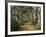 Avenue of Trees, West Cape Howe Np, Albany, Western Australia-Peter Adams-Framed Photographic Print