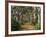 Avenue of Trees, West Cape Howe Np, Albany, Western Australia-Peter Adams-Framed Photographic Print