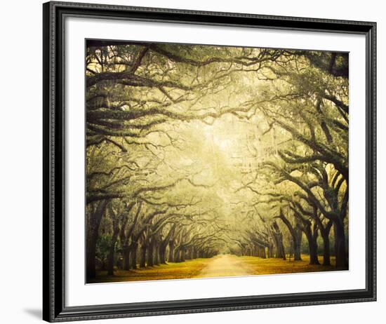 Avenue Shade I-Irene Suchocki-Framed Giclee Print