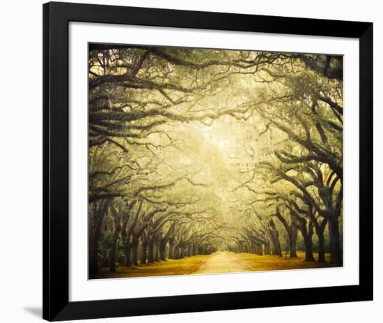 Avenue Shade I-Irene Suchocki-Framed Giclee Print