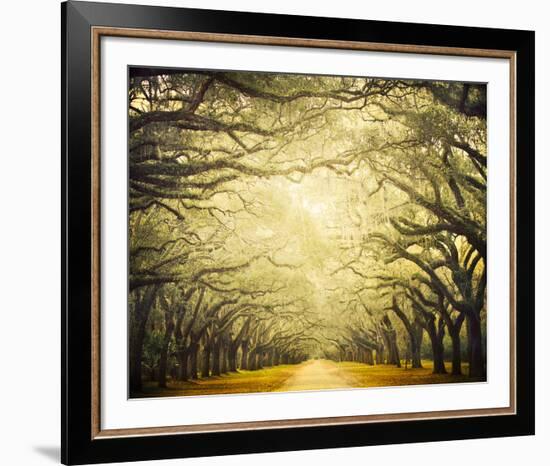 Avenue Shade I-Irene Suchocki-Framed Giclee Print