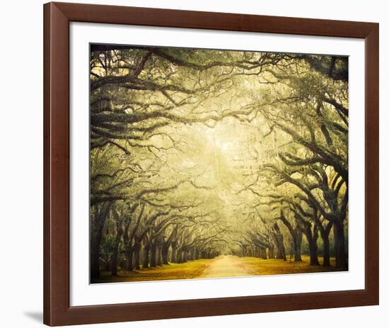 Avenue Shade I-Irene Suchocki-Framed Giclee Print