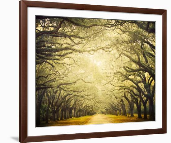 Avenue Shade I-Irene Suchocki-Framed Giclee Print