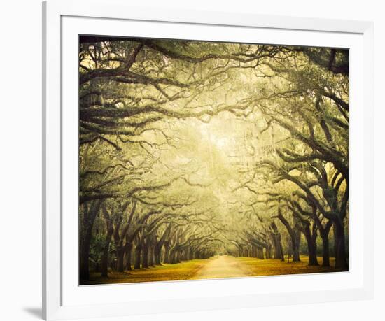 Avenue Shade I-Irene Suchocki-Framed Giclee Print