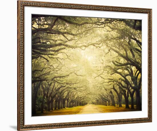 Avenue Shade I-Irene Suchocki-Framed Giclee Print