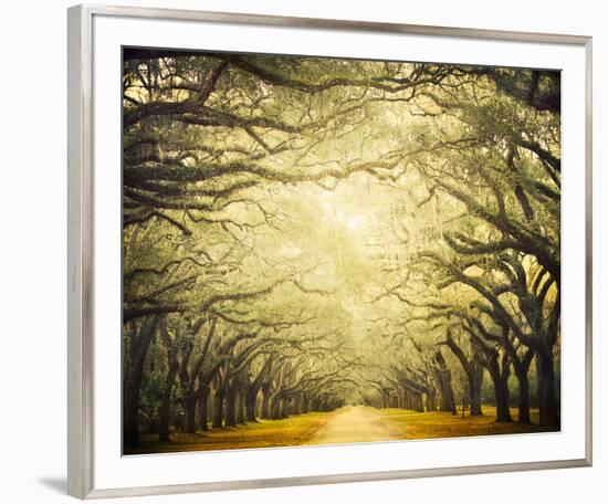 Avenue Shade I-Irene Suchocki-Framed Giclee Print