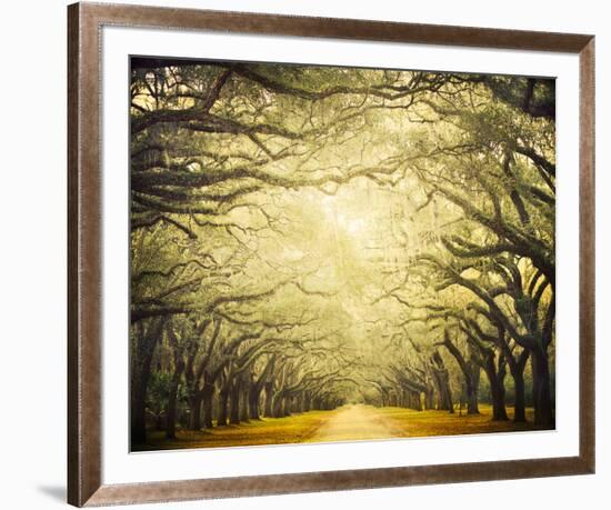 Avenue Shade I-Irene Suchocki-Framed Giclee Print