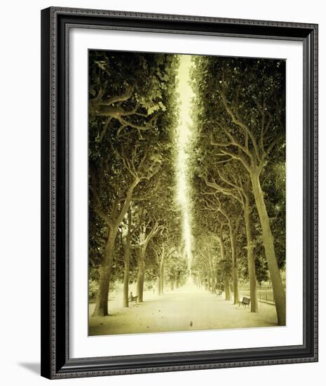 Avenue Shade II-Irene Suchocki-Framed Giclee Print