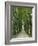 Avenue-Thonig-Framed Photographic Print