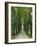 Avenue-Thonig-Framed Photographic Print