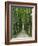 Avenue-Thonig-Framed Photographic Print