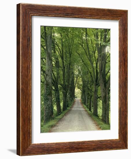 Avenue-Thonig-Framed Photographic Print