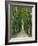 Avenue-Thonig-Framed Photographic Print