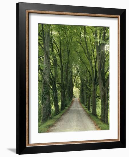 Avenue-Thonig-Framed Photographic Print