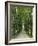 Avenue-Thonig-Framed Photographic Print