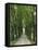 Avenue-Thonig-Framed Premier Image Canvas