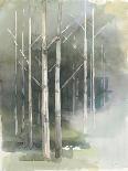 Birch Grove II-Avery Tillmon-Art Print