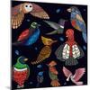 Aves, Mix Ecuador-Belen Mena-Mounted Giclee Print