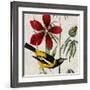 Avian Crop I-John James Audubon-Framed Giclee Print